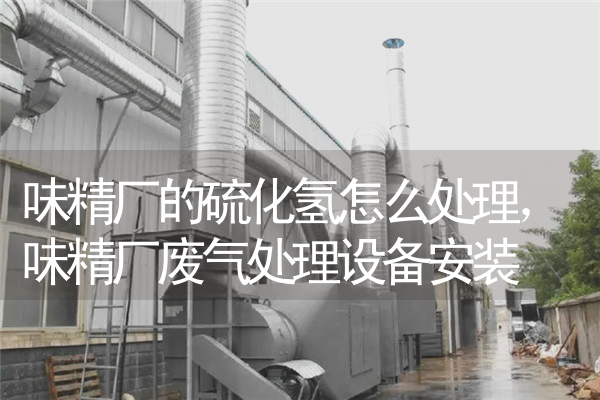 味精厂的硫化氢怎么处理，味精厂废气处理设备安装 